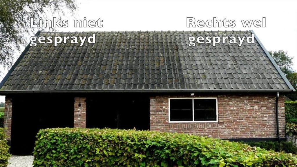 dakpannen-laten-reinigen dakpannen-laten-reinigen